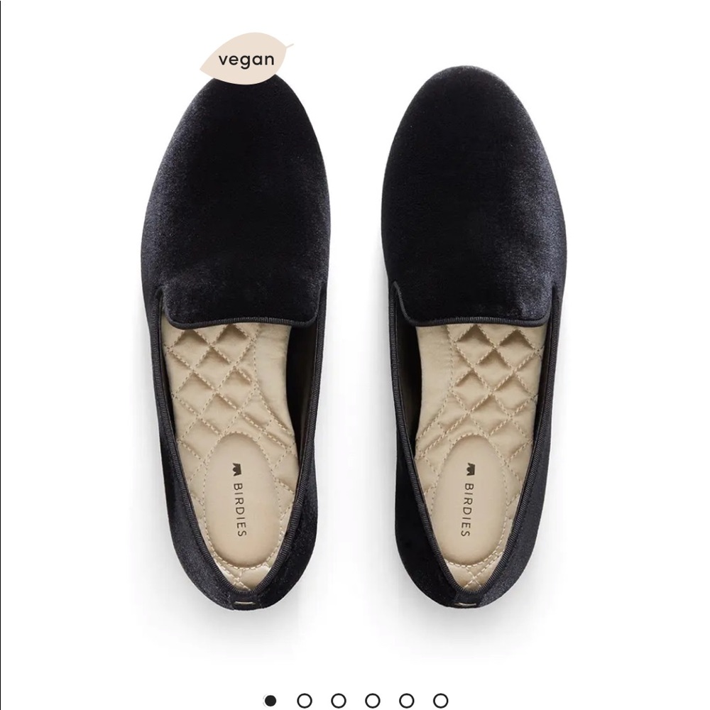 Birdies Starling in black velvet shoes.